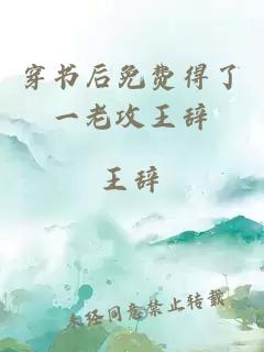 穿书后免费得了一老攻王辞